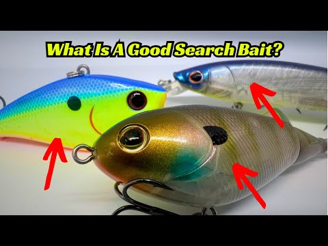 Here's Why Search Baits Are Critical To An Anglers Success For Big