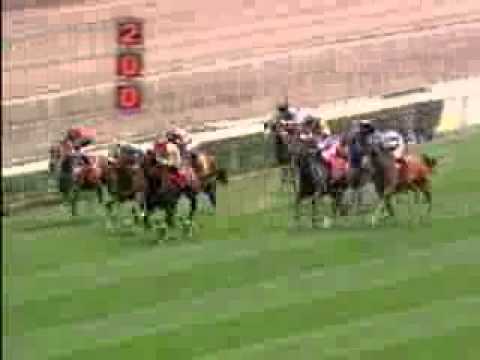 2003 主席短途獎 Chairman's Sprint Prize