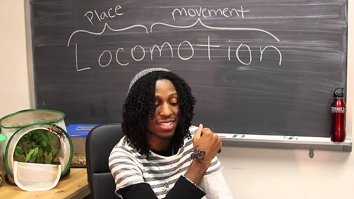 Doctor Buggs: Locomotion