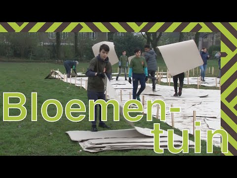 Video: Bloementuin In Juni. Belangrijkste Werken