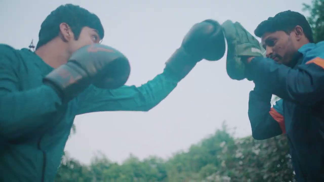 Invincible Commando Punch Mitts, Focus Pad Boxing 