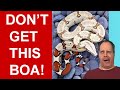 6 Reasons You Need to Reconsider Getting a True Red Tail Boa Constrictor!