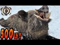 YILIN REKORU 500Lb!! DEV AZILI YABAN DOMUZU AVI,  Giant Monster Wild Boar Hunting, New Record Size!