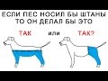 Download ГОЛОВОЛОМКИ, которые не РЕШИТЬ ВЗРОСЛЫМ ГОЛОВОЛОМКИ, которые не РЕШИТЬ ВЗРОСЛЫМ