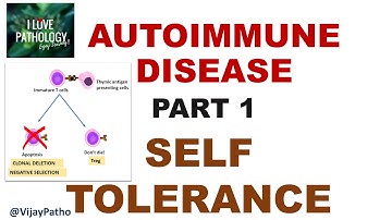 Autoimmune diseases |Part 1 |General concepts |  Central and Peripheral tolerance