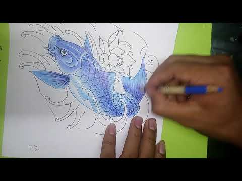 how to draw kio fish -kio fish drawing-drawing tattoo-