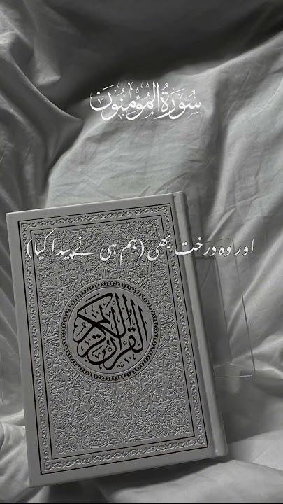 Al Quran | #shorts #shortsvideo #shortsviral #shortsfeed #muslim #foryou #alquran