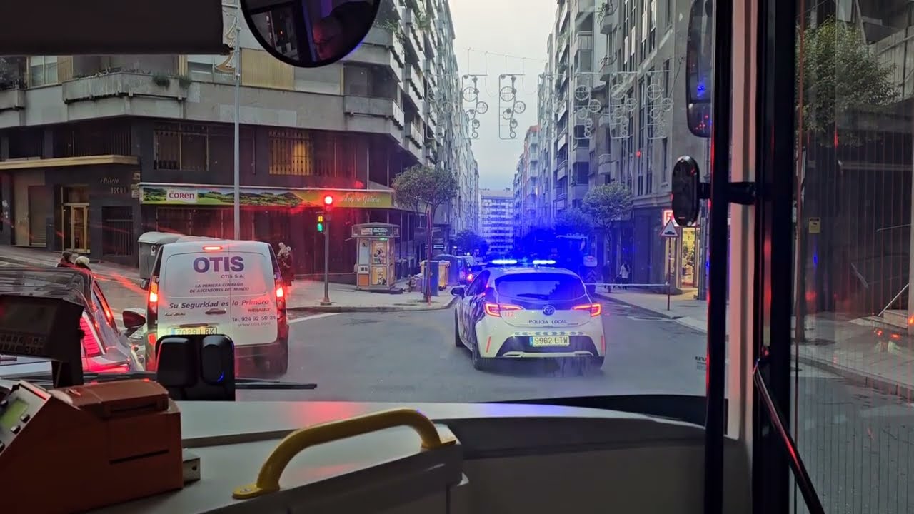 ويلي ويلي شوفوا الحسن كلاشا المهبول اكبر شمس العشيه عويشة فرحانة وهالسبب🤪🤣👌🏃‍♀️