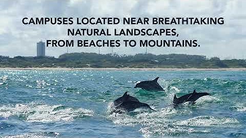 Why Choose Nelson Mandela University