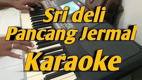 Sri Deli & Pancang Jermal Karaoke Melayu 2 Dimensi