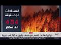حرائق الغابات تلتهم نحو نصف مليون هكتار في أوروبا