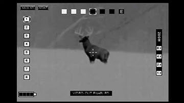 IR Hunter MK 3 Thermal Rangefinder - 150 Class Whitetail Deer