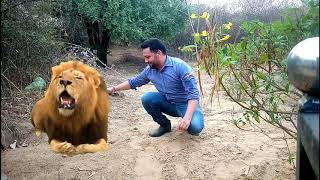 Green screen effect with a lion full hd with kinemaster