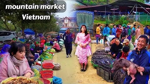 Chợ Lùng Phình – Ẩm Thực Núi Rừng, Lợn Cắp Nách & Đặc Sản Địa Phương | Lung Phinh Market Vietnam