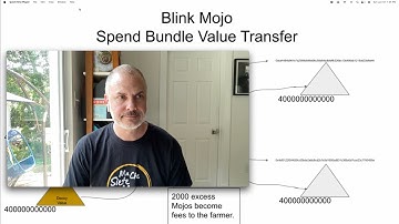 Blink Mojo  - Money privacy application using Chialisp
