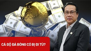 Cá độ bóng đá có thể ngồi tù bao nhiêu năm? - PLO