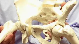 Dr. Sedory - What We Can Do For You.