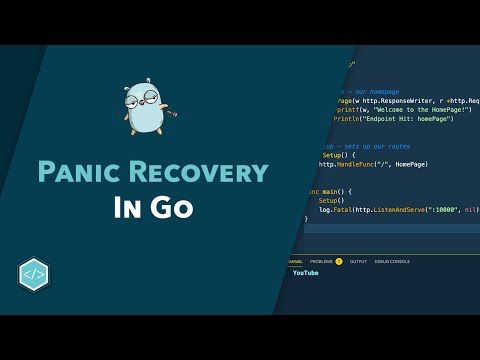 Panic Recovery in Go - Tutorial