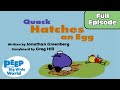 Quack's Adventures in Hatching