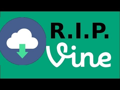 HOW TO DOWNLOAD VINES FOR FREE