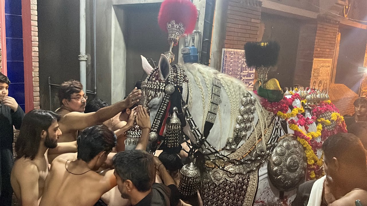 Baramdagi Zuljanah 27 Muharram 2025 Mohalla Shia Mochi gate Lahore #foryou