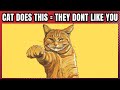 14 signs your cat doesnt love you  how to make them love you