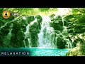 🔴 Relaxing Study Music 24/7, Stress Relief, Concentration Music, Relaxing Music, Calm Music, Study