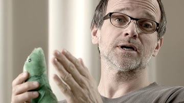 P1: Rapid motility of Plasmodium sporozoites