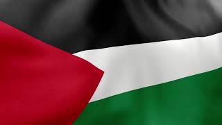 Emel Mathlouthi - Naci en Palestina آمال مثلوثي Resimi