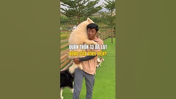 Quán cafe yêu thích của mình ở Đà Lạt sắp đóng cửa vĩnh viễn? #dalat #shorts #nhandian