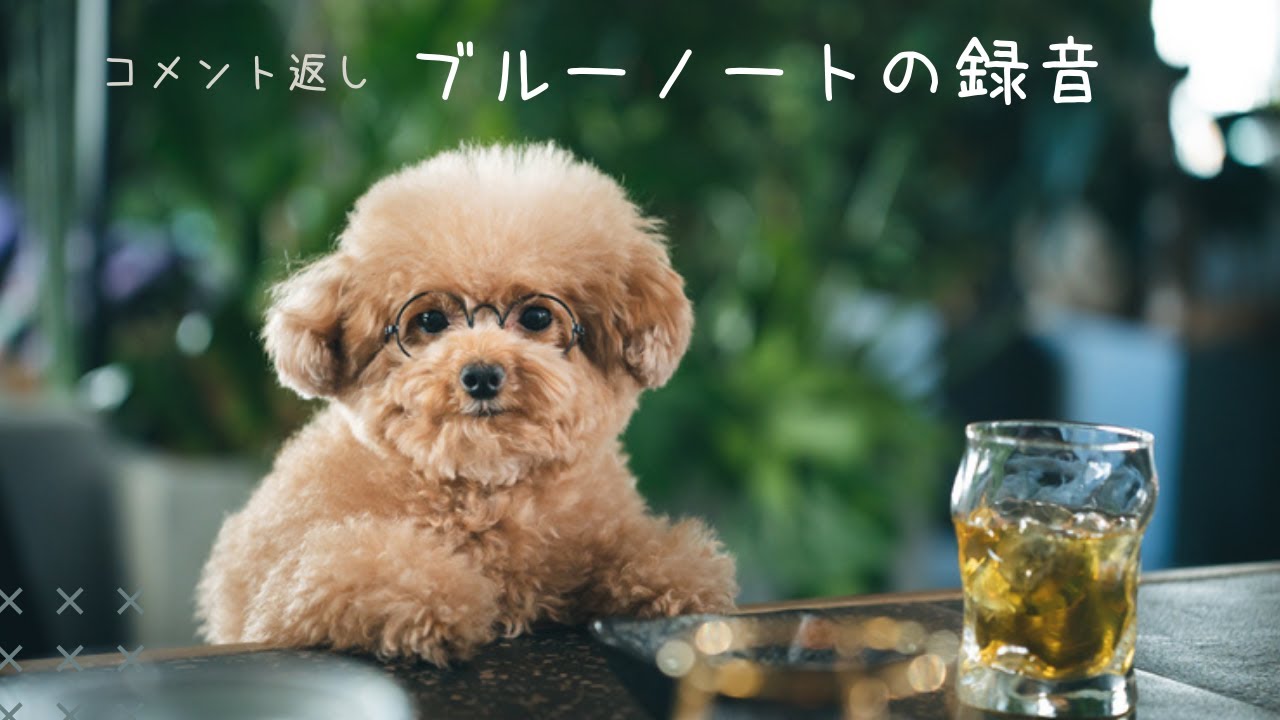 買ってみた チャーリー・パーカーの音 市岡仁 【公式通販】