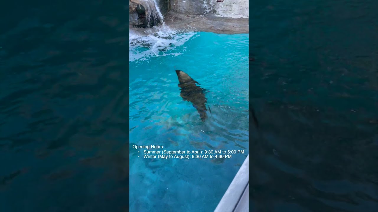 Australia - Sydney - Taronga Zoo (4)