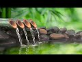 Relaxing Music 24/7, Stress Relief Music, Sleep Music, Meditation Music, Study, Flowing River