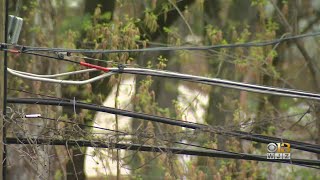 Power Outages, Some Damage Reported In Baltimore After Severe Storms Overnight