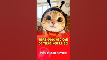 Nhặt được mèo con có tiếng kêu lạ đời #shorts