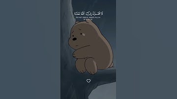 مواساة ربانية 🥺💞    لا تحزن إن الله معنا    القارئ عبد الرحمن مسعد