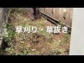 何でも屋 枚方市 家具組立移動 草刈り 荷物運び 激安 便利屋