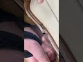 Shoemaker Precision Trimming Leather Sole For Custom Footwear