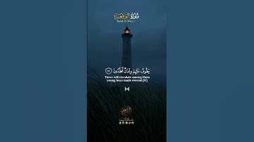 - تلاوة مبهرة للشيخ عمير شميم من سورة الواقعة ( و السابقون السابقون )🌹