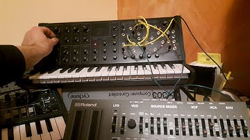 Roland TR08 feat. Korg MS20mini control via SQ1