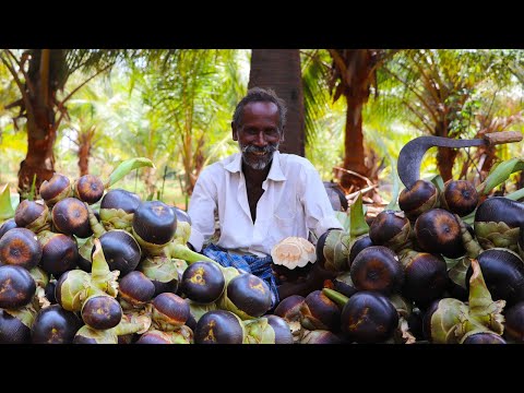 PALM FRUIT JUICE | NUNGU SARBATH | Sweet  Palm Jelly | Prepare by Karuppasami [ KGF ]Thatha