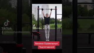 Техника Правильных Подтягиваний