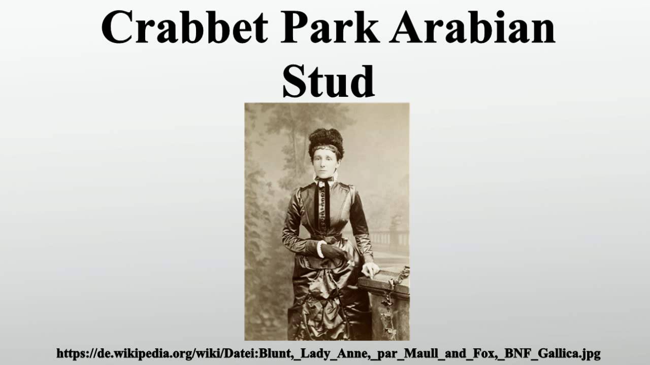 Crabbet Park Arabian Stud YouTube