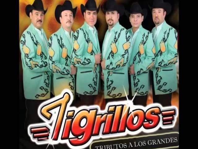 Los Tigrillos - Ven Belen