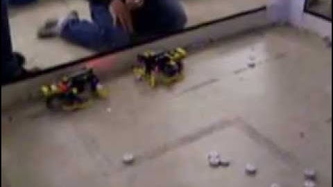 Stigmergy Collective Robots