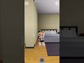 Ballerina Cappuccina tried to prank then this happened…😳😂 #shorts #roblox