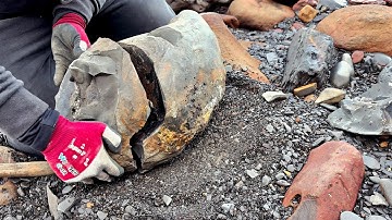 We CRACKED A Huge Rock For A GIANT Ammonite! 
