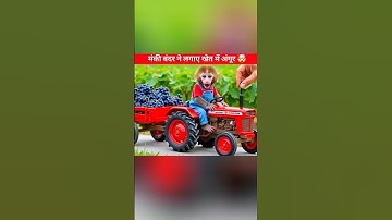 Monkey Nana drives a tractor and embarks on the journey of planting a vineyard - NANA MONKEY LIFE