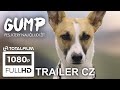 Gump  pes kter nauil lidi t 2021 hlavn trailer