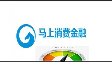 金融风控项目实战 马上消费金融AI挑战赛 违约用户风险预测5 企业建模 论文科研